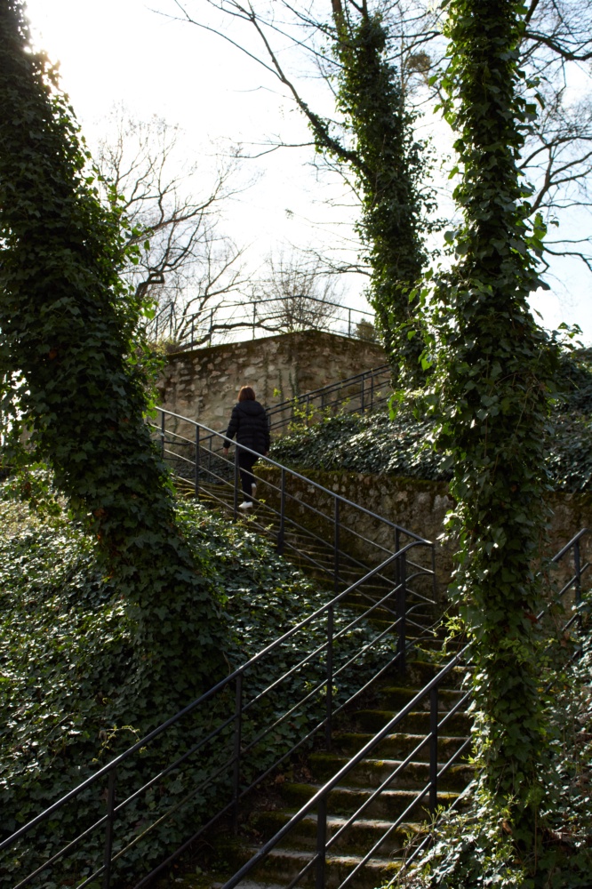 Montée