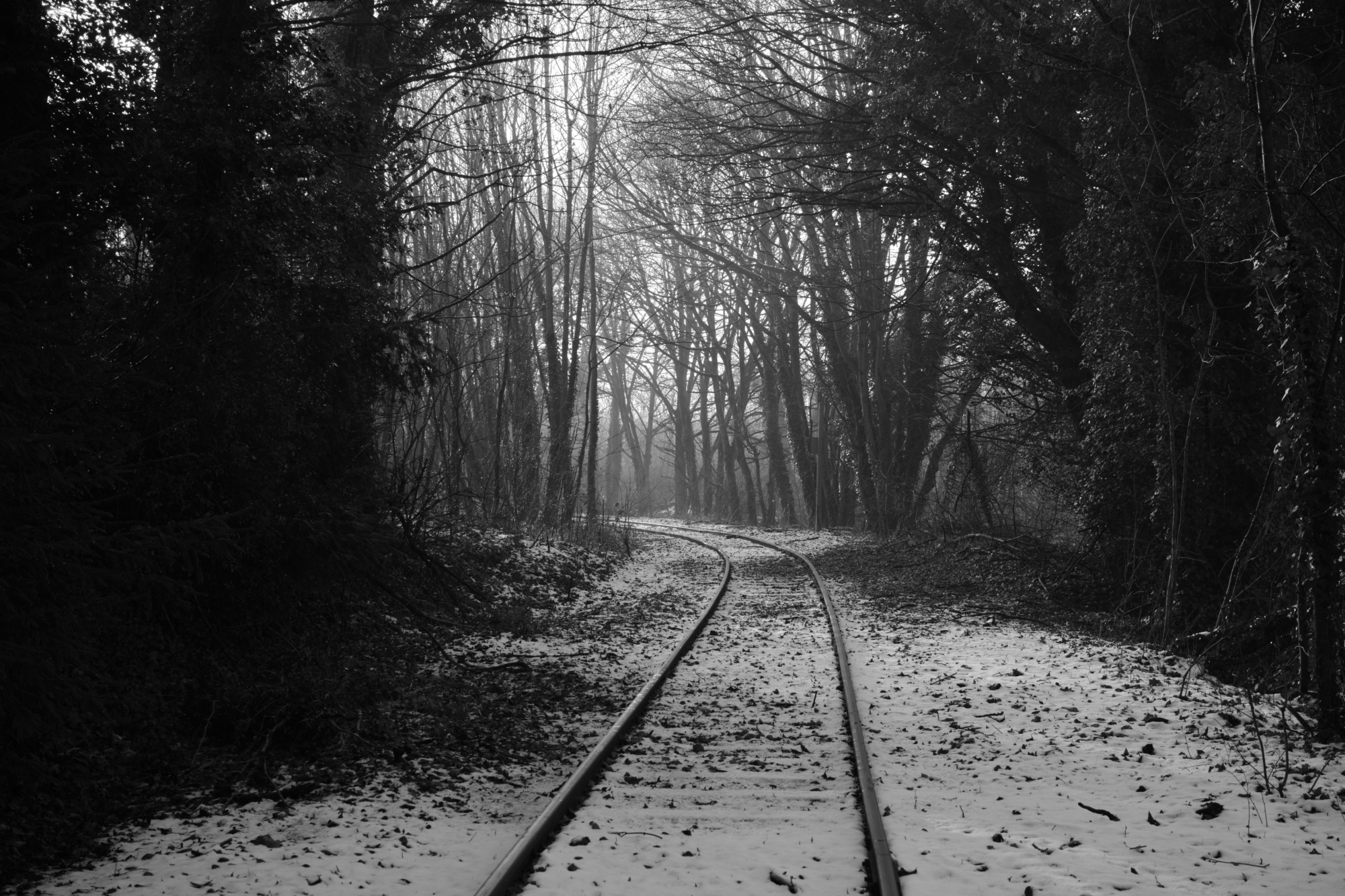 Rails enneigés