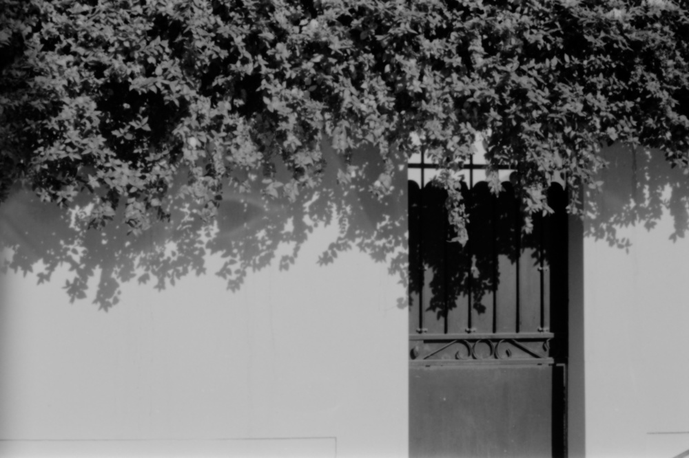Porte